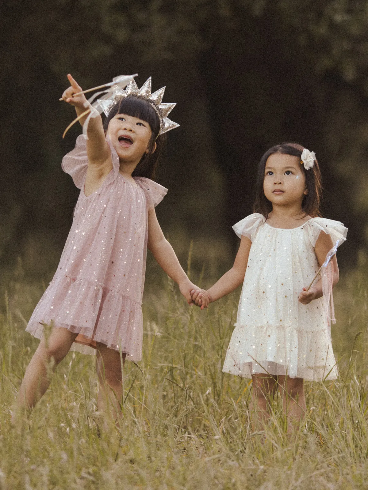 Edie Dress, Champagne Stars